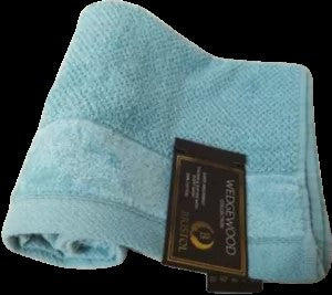 BRISTOL WEDGEWOOD BATH SHEET DUCK EGG 80X160CM
