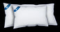 Sealy Natural Comfort Pillow